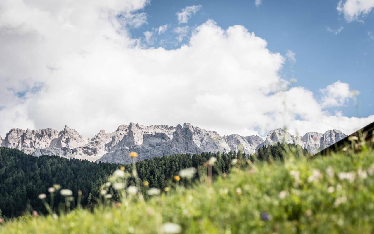 Cadepunt The Dolomites Lodge Сельва-ди-Валь-Гардена Экстерьер фото