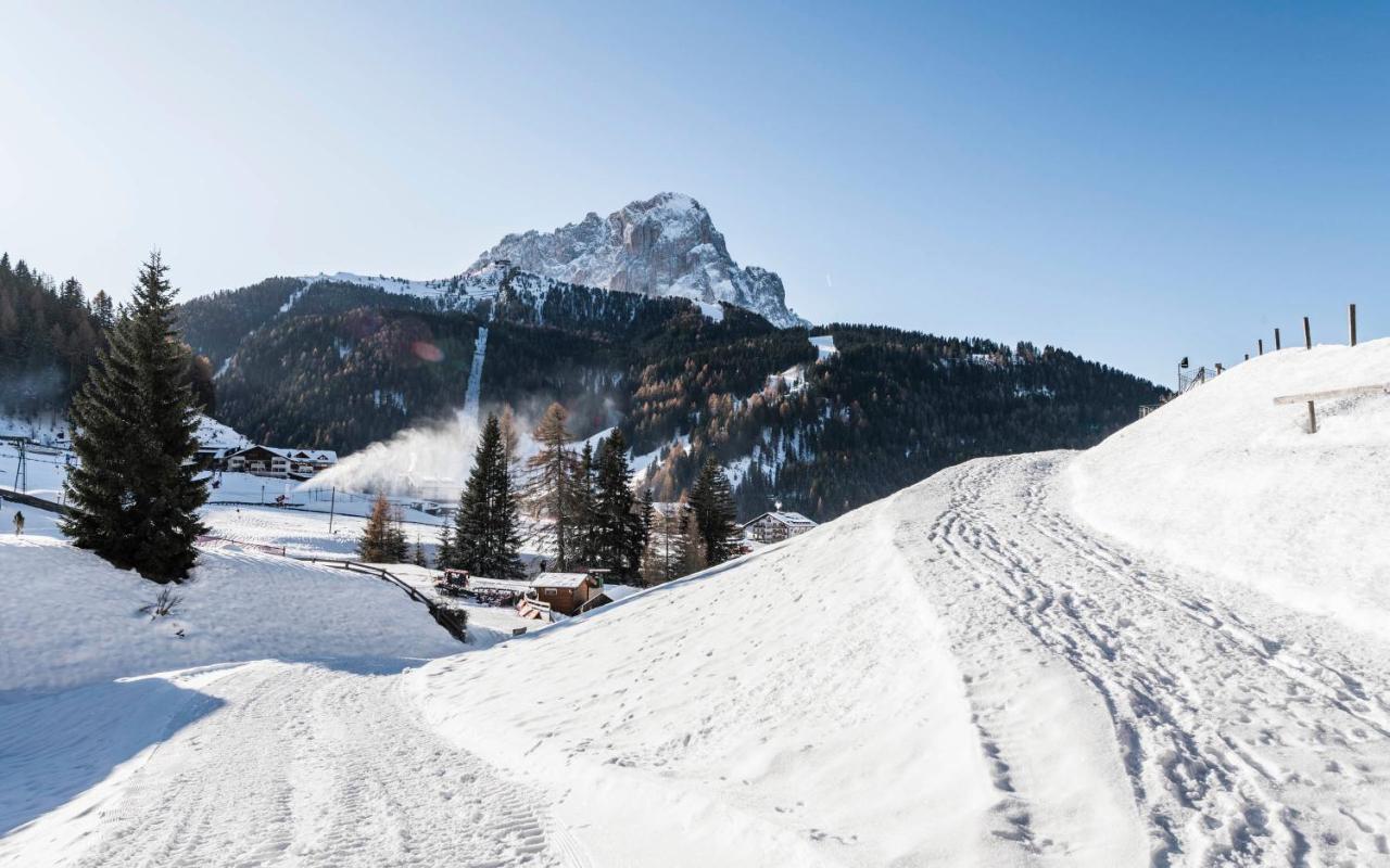 Cadepunt The Dolomites Lodge Сельва-ди-Валь-Гардена Экстерьер фото